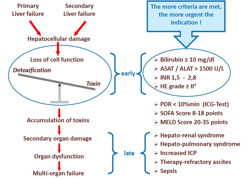 OpalTherapyTiming EN